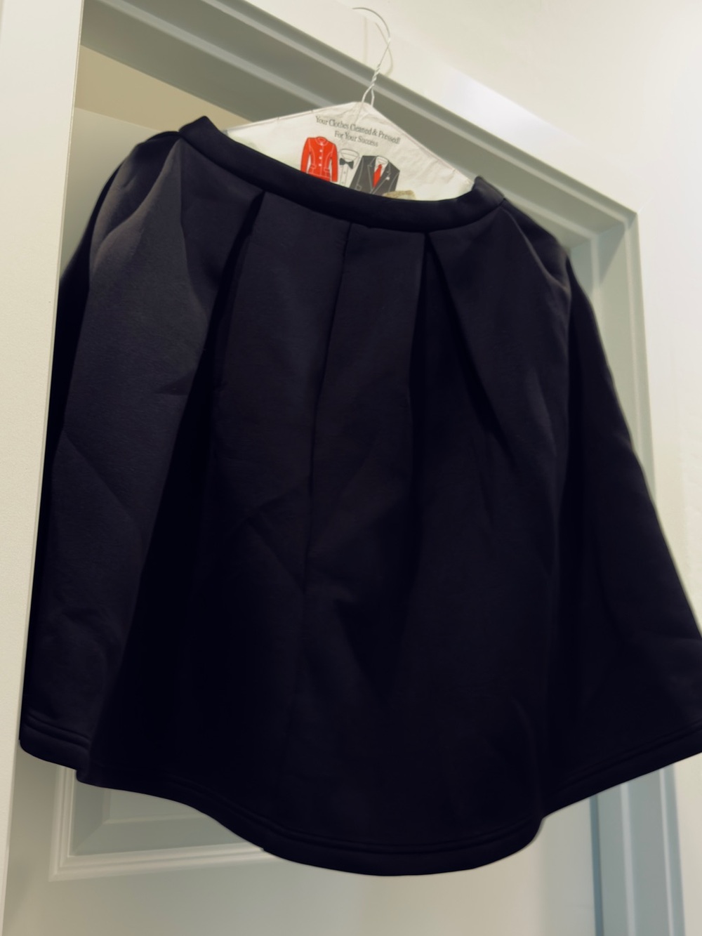 Alythea Black Pleated A-Line Skirt